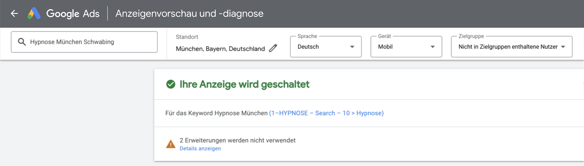 Google Ads Anzeige wird nicht ausgeliefert - Prüfung über Anzeigendiagnose mit Suchbegriff 2