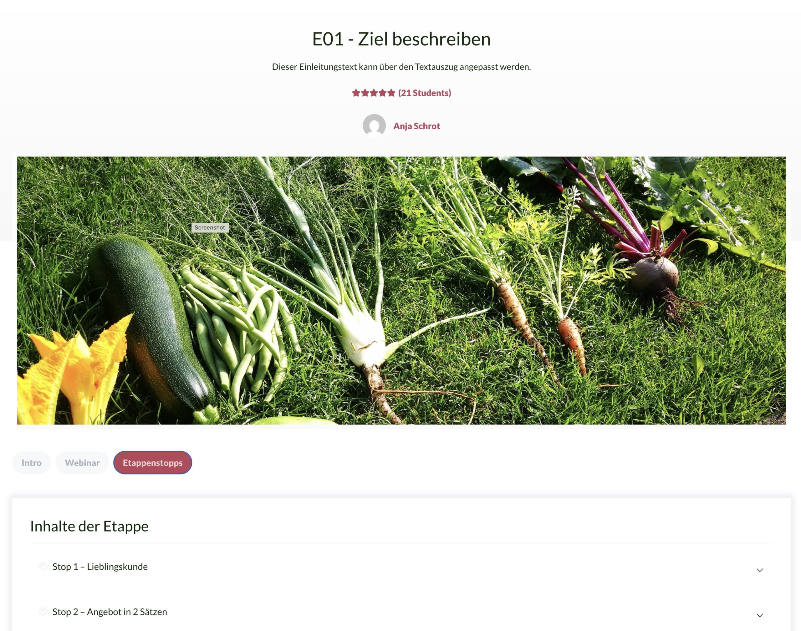 WordPress - Struktur für Online-Kurs im Frontend