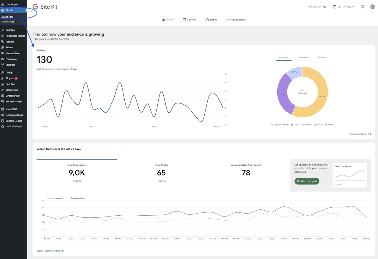 SEO Kennzahlen im Site Kit